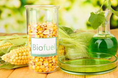 Pathe biofuel availability